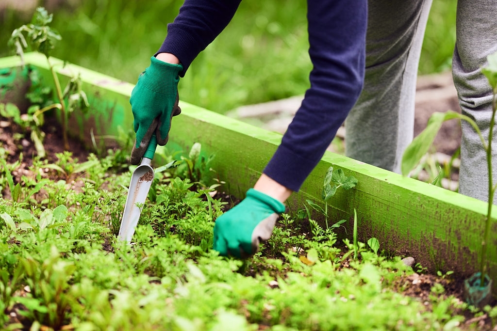 weeding-miscellaneous-good-neighbor-yyc